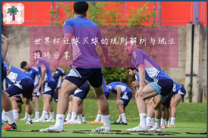 世界杯让球买球的规则解析与玩法技巧分享