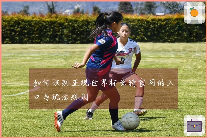如何识别正规世界杯竞猜官网的入口与玩法规则