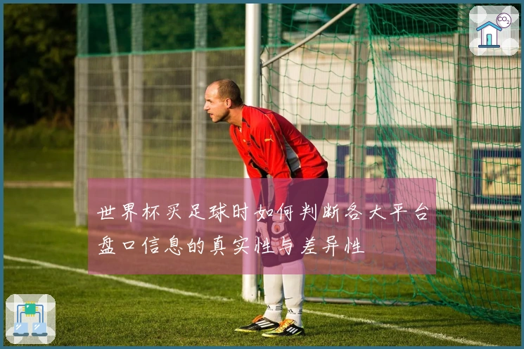 世界杯买足球时如何判断各大平台盘口信息的真实性与差异性