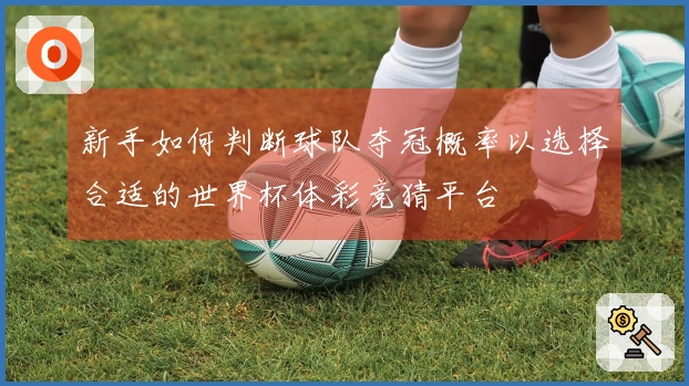 新手如何判断球队夺冠概率以选择合适的世界杯体彩竞猜平台