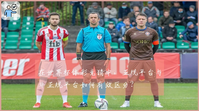 在世界杯体彩竞猜中，正规平台与非正规平台如何有效区分？