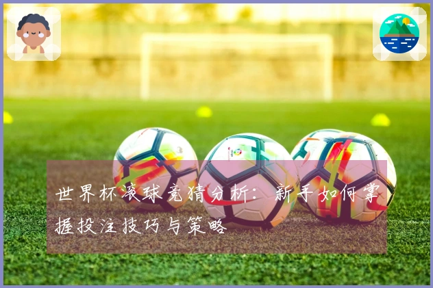 世界杯滚球竞猜分析：新手如何掌握投注技巧与策略