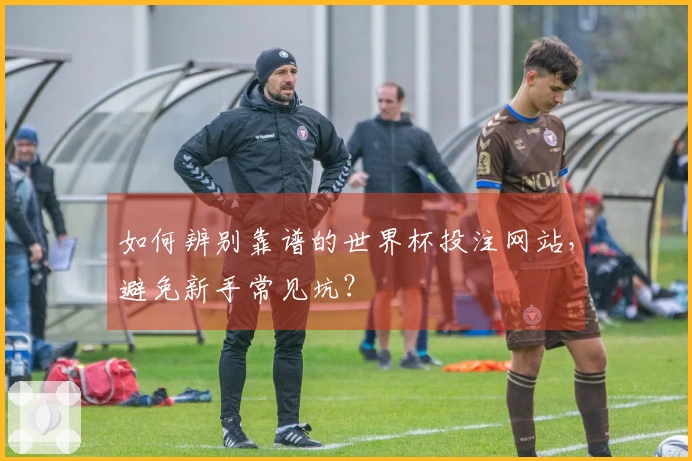 如何辨别靠谱的世界杯投注网站，避免新手常见坑？