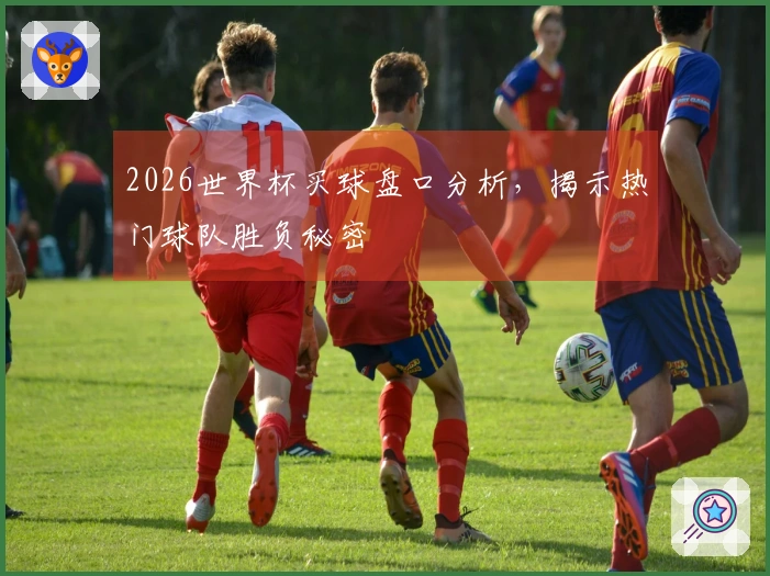 2026世界杯买球盘口分析，揭示热门球队胜负秘密