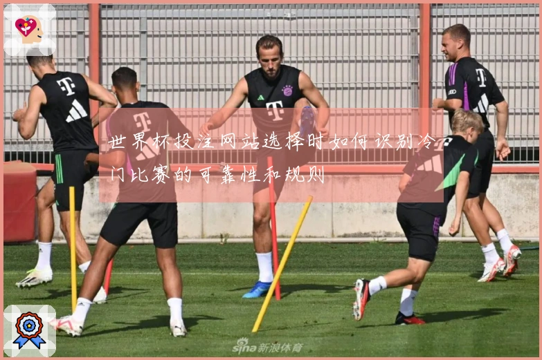 世界杯投注网站选择时如何识别冷门比赛的可靠性和规则