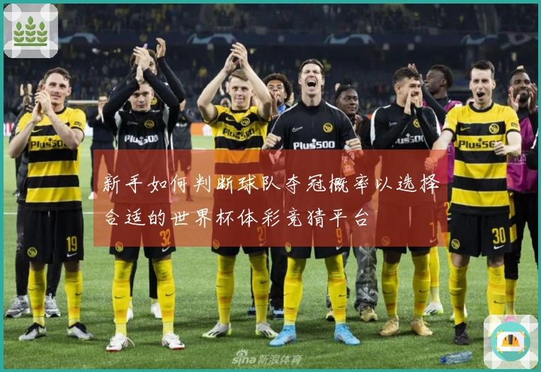 新手如何判断球队夺冠概率以选择合适的世界杯体彩竞猜平台