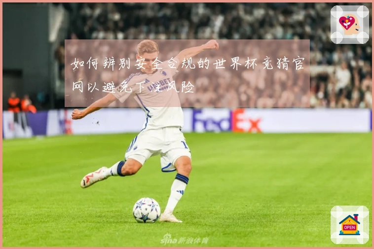 如何辨别安全合规的世界杯竞猜官网以避免下注风险