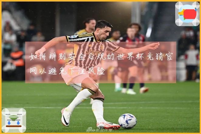 如何辨别安全合规的世界杯竞猜官网以避免下注风险