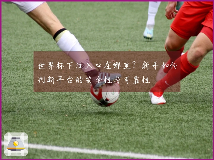 世界杯下注入口在哪里？新手如何判断平台的安全性与可靠性