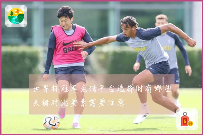 世界杯冠军竞猜平台选择时有哪些关键对比要素需要注意